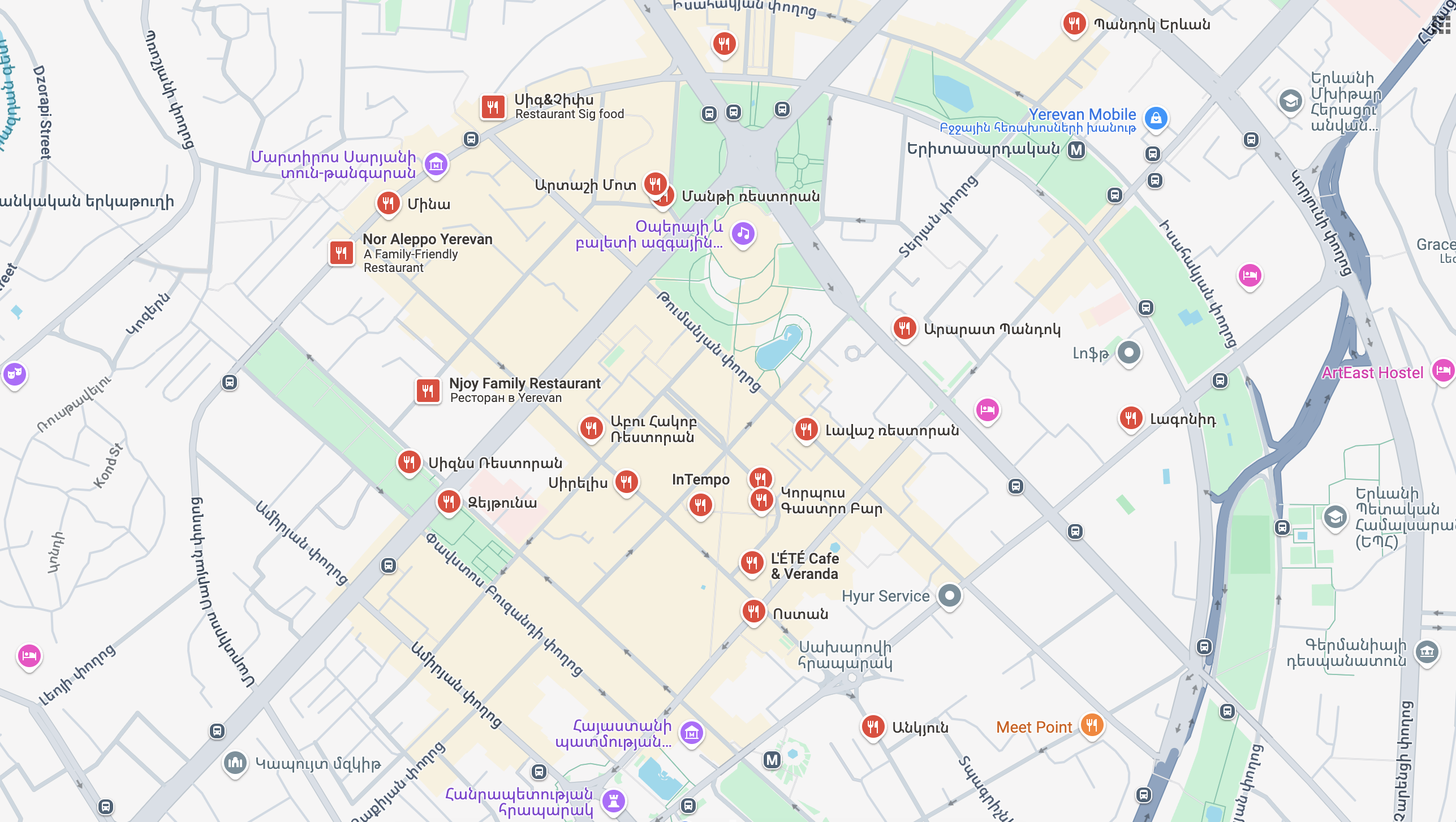google map